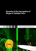 Dynamics of the Auto-Ignition of Biogas in Turbule