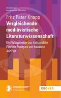 Vergleichende mediävistische Literaturwissenschaft
