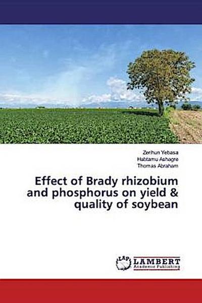 Effect of Brady rhizobium and phosphorus on yield & quality of soybean
