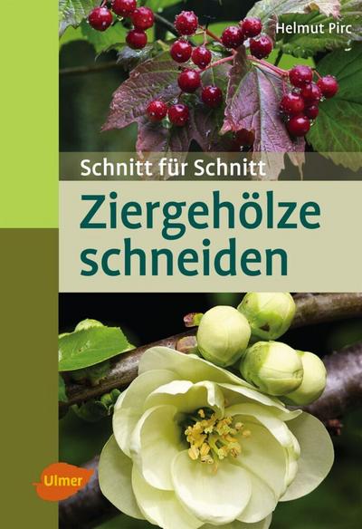 Ziergehölze schneiden 