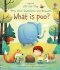Very First Questions and Answers What is poo?