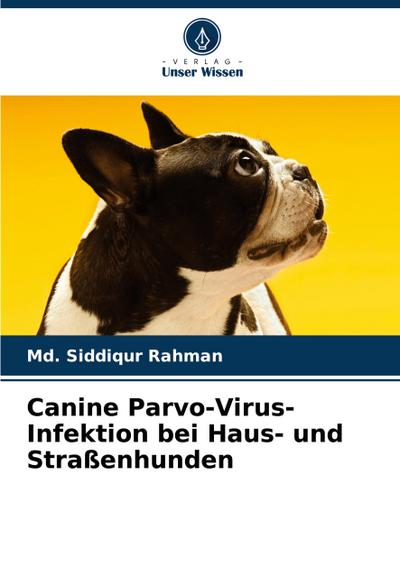 Canine Parvo-Virus-Infektion bei Haus- und Straßenhunden