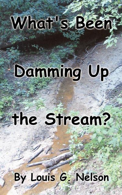 What’s Been Damming Up the Stream?