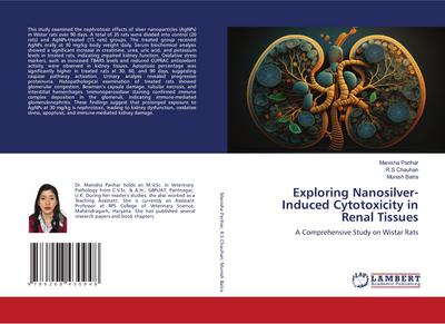 Exploring Nanosilver-Induced Cytotoxicity in Renal Tissues