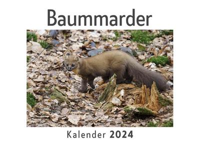 Baummarder (Wandkalender 2024, Kalender DIN A4 quer, Monatskalender im Querformat mit Kalendarium, Das perfekte Geschenk)