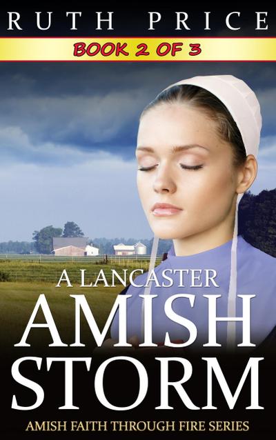 A Lancaster Amish Storm - Book 2 (A Lancaster Amish Storm (Amish Faith Through Fire), #2)