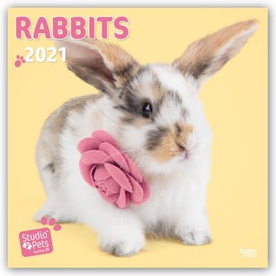 Rabbits - Kaninchen 2021: Original Myrna-Kalender [Mehrsprachig] [Kalender] (Wall-Kalender)