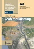 Geofernerkundung
