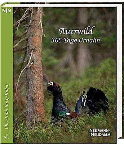 Auerwild - 365 Tage Urhahn
