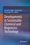 Sustainability and Process Development