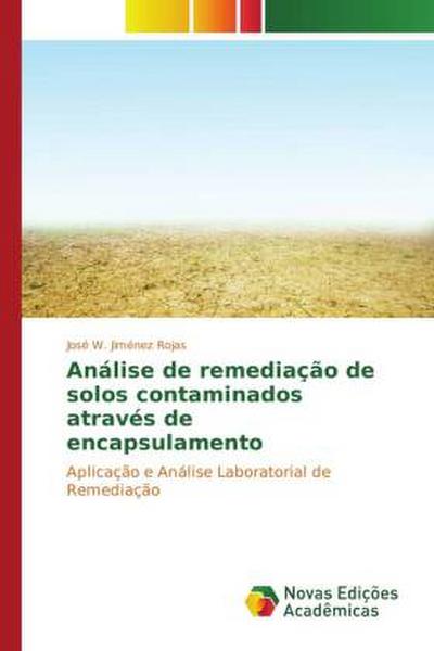 Análise de remediação de solos contaminados através de encapsulamento