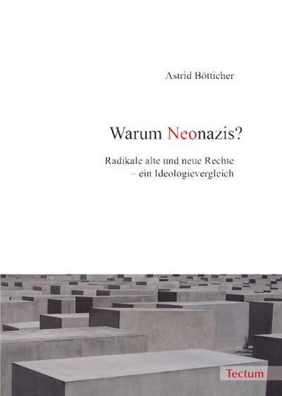 Warum Neonazis?