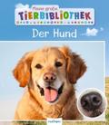 Der Hund
