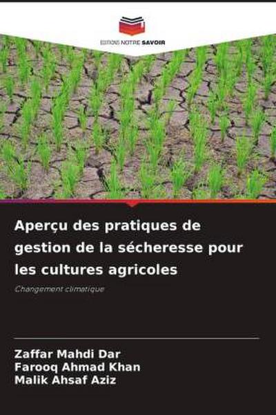 Aperçu des pratiques de gestion de la sécheresse pour les cultures agricoles