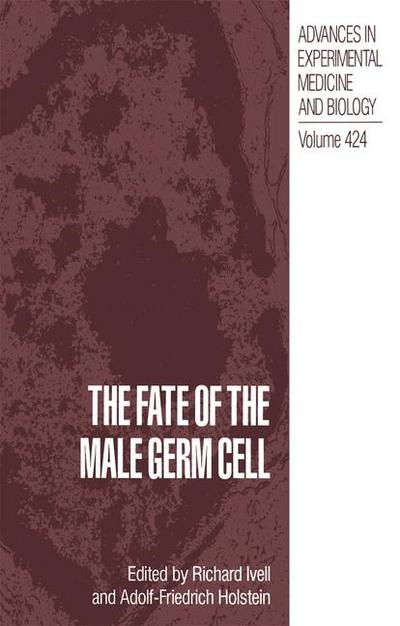 Fate of the Male Germ Cell