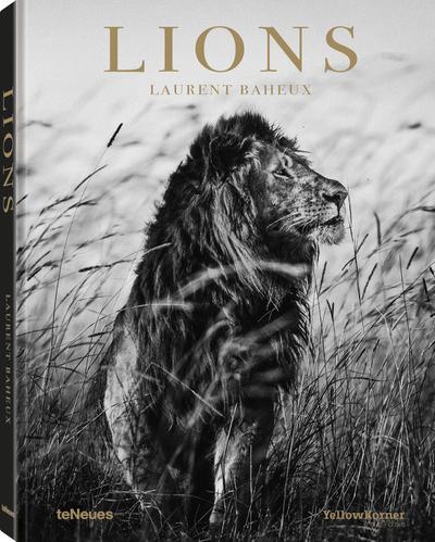 Lions: Laurent Baheux
