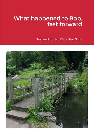 What happened to Bob, fast forward