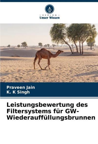 Leistungsbewertung des Filtersystems für GW-Wiederauffüllungsbrunnen