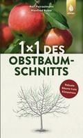 1 x 1 des Obstbaumschnitts
