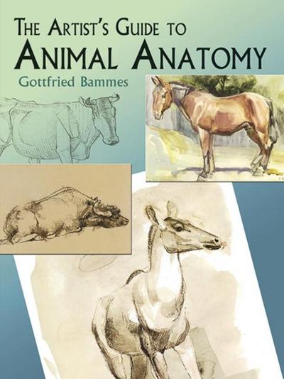 The Artist’s Guide to Animal Anatomy