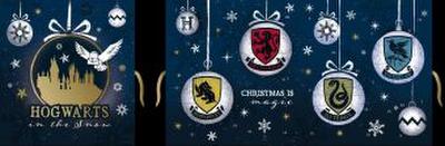Harry Potter Adventskalender Teens