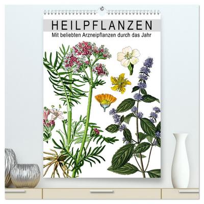 Heilpflanzen (hochwertiger Premium Wandkalender 2026 DIN A2 hoch), Kunstdruck in Hochglanz