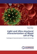 Light and Ultra structural characterization of Blo