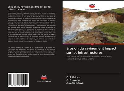 Erosion du ravinement Impact sur les infrastructures