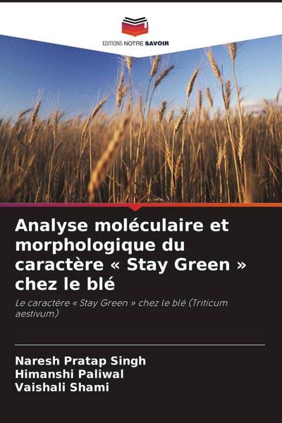 Analyse moléculaire et morphologique du caractère ’ Stay Green ’ chez le blé