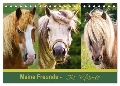 Meine Freunde - die Pferde (Tischkalender 2024 DIN A5 quer), CALVENDO Monatskalender