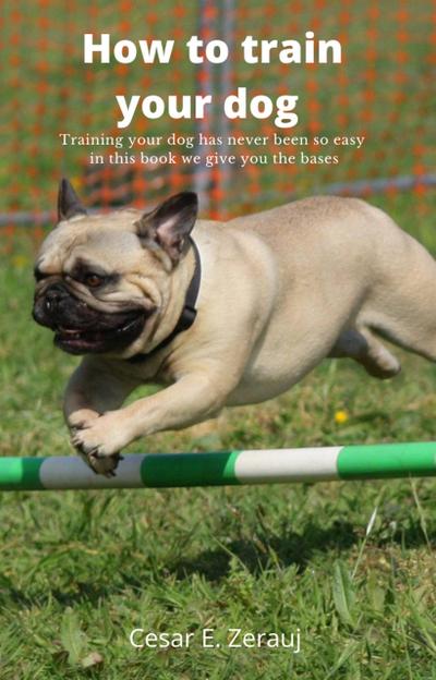 How to train your dog    Training your dog has never been so easy in this book we give you the bases