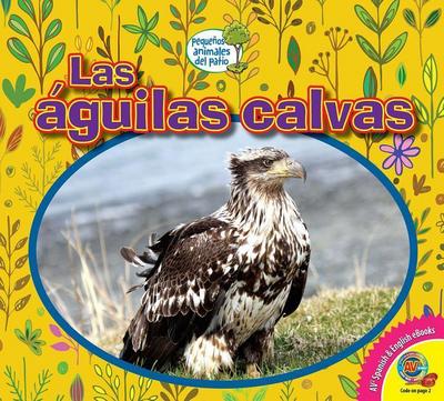 Las Águilas Calvas (Bald Eagles)