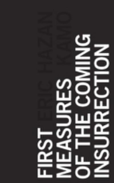 First Measures of the Coming Insurrection