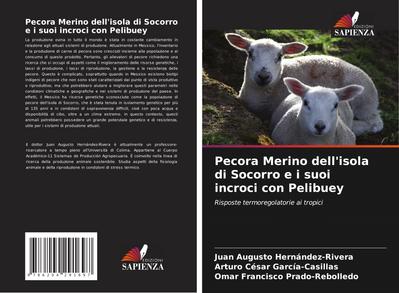 Pecora Merino dell’isola di Socorro e i suoi incroci con Pelibuey