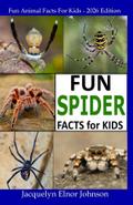 Fun Spider Facts For Kids