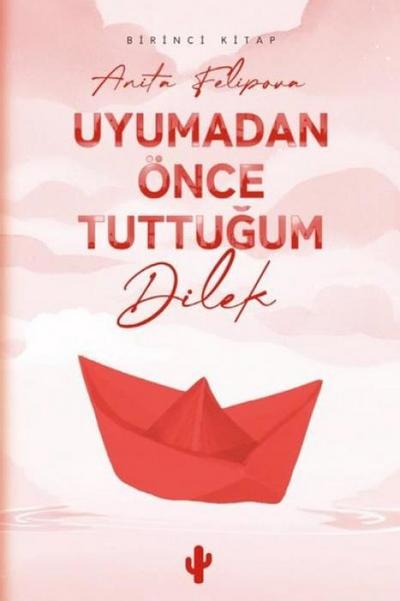 Uyumadan Önce Tuttugum Dilek 1