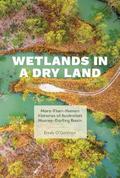 Wetlands in a Dry Land