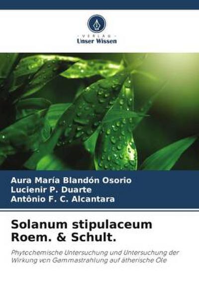 Solanum stipulaceum Roem. & Schult.