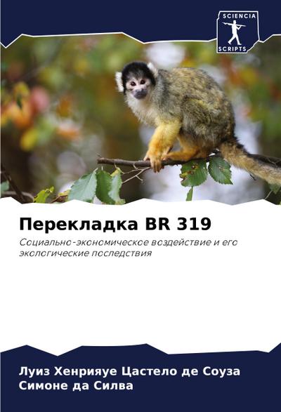 Perekladka BR 319