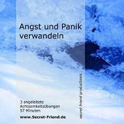 Angst und Panik verwandeln - Klaus Renn