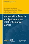 Mathematical Analysis and Approximation of PDE-Che