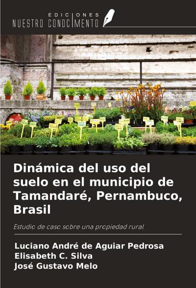 Dinámica del uso del suelo en el municipio de Tamandaré, Pernambuco, Brasil