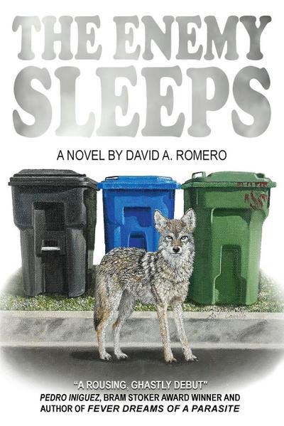 The Enemy Sleeps