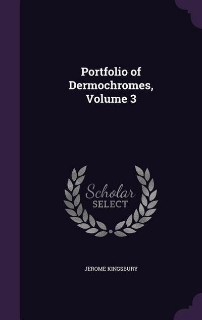 Portfolio of Dermochromes, Volume 3