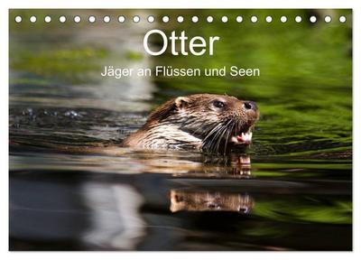Otter - Jäger an Flüssen und Seen (Tischkalender 2026 DIN A5 quer), CALVENDO Monatskalender