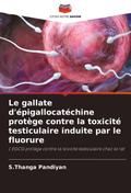 Le gallate d’épigallocatéchine protège contre la toxicité testiculaire induite par le fluorure