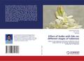 Effect of bulbs with GA¿ on different stages of tuberose
