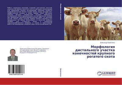 Morfologiq distal’nogo uchastka konechnostej krupnogo rogatogo skota