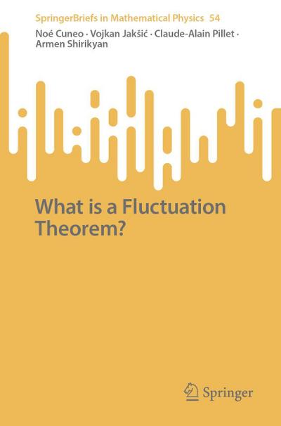 What is a Fluctuation Theorem?