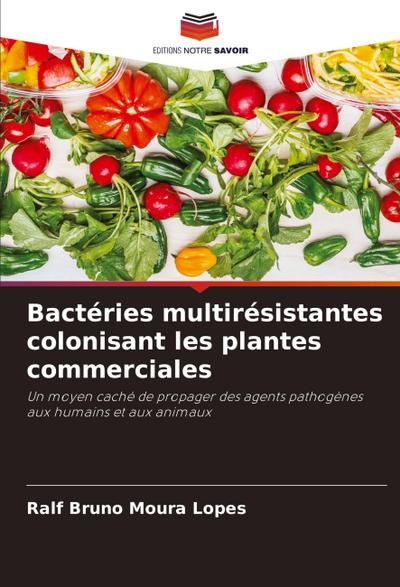 Bactéries multirésistantes colonisant les plantes commerciales